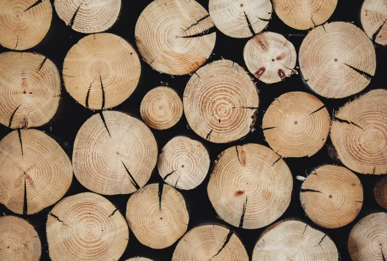 Cómo cortar un círculo perfecto en un tablero de madera