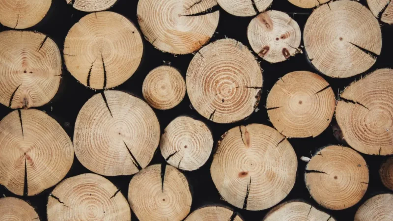 Cómo cortar un círculo perfecto en un tablero de madera